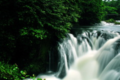 梅雨の白滝