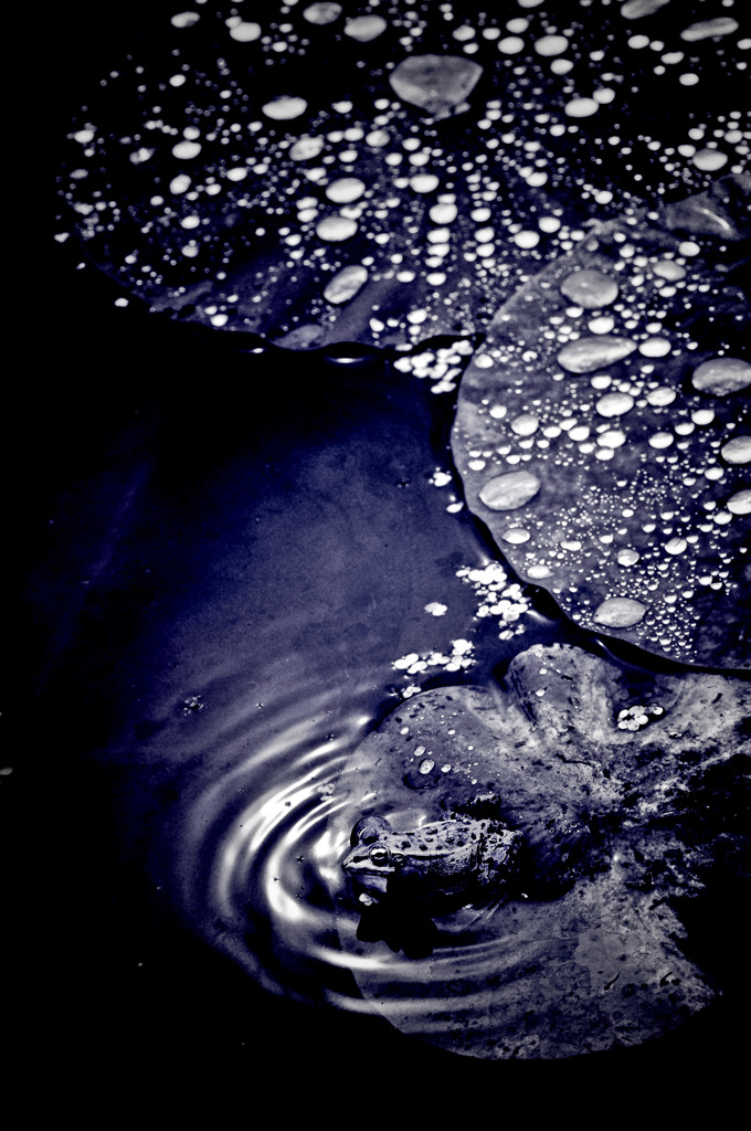 梅雨のメロディ