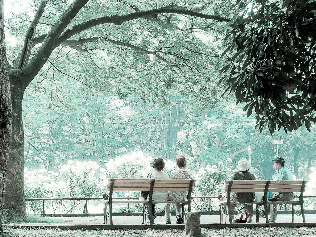 公園で憩う風景