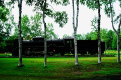 森の機関車Ⅱ