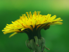 P1000549