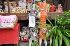 京都・三年坂①