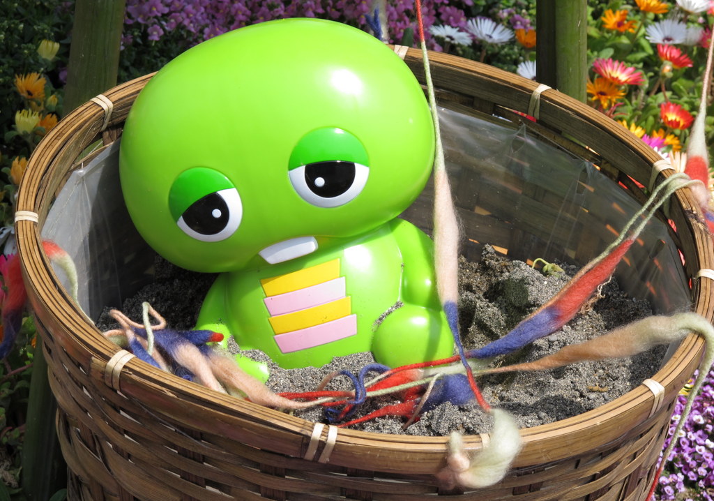 恐竜の子　生まれました。