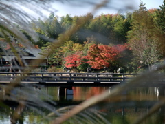 30年ぶりに趣味再開