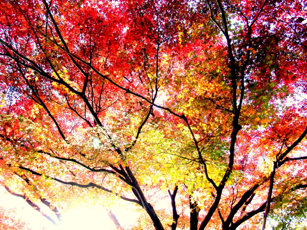 自分の感覚なので・・・