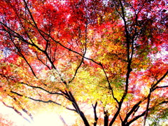 自分の感覚なので・・・