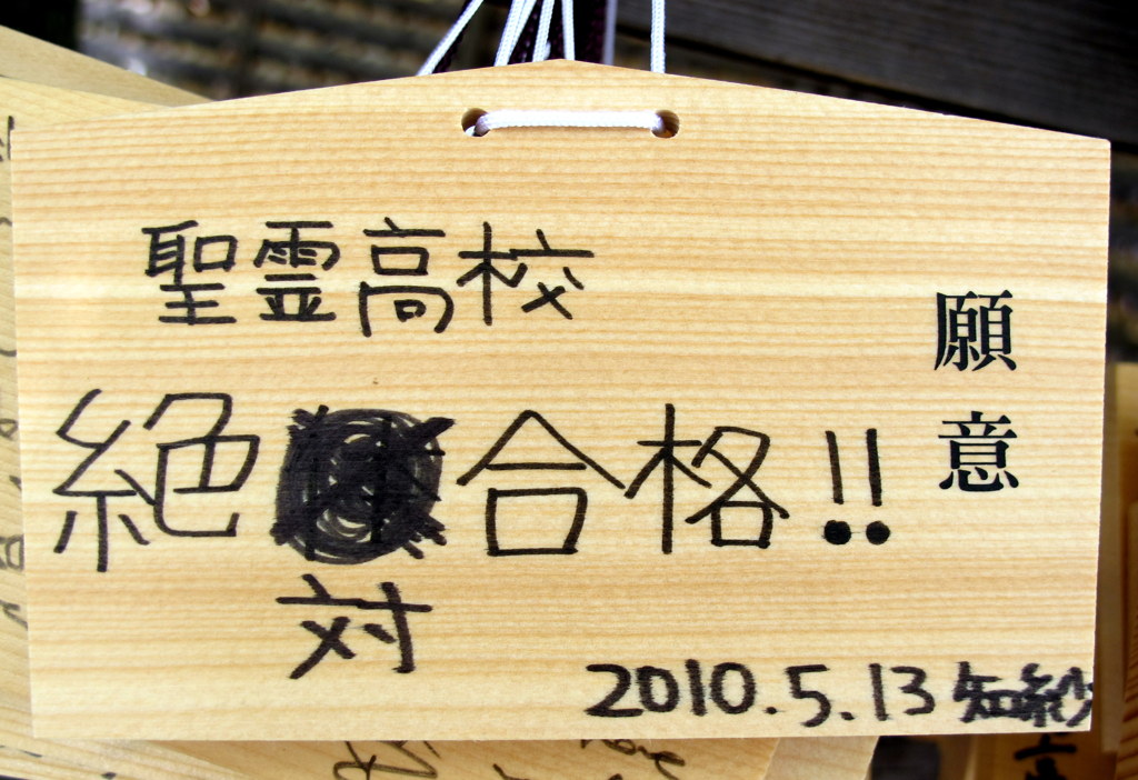 この子の来春が心配です。。