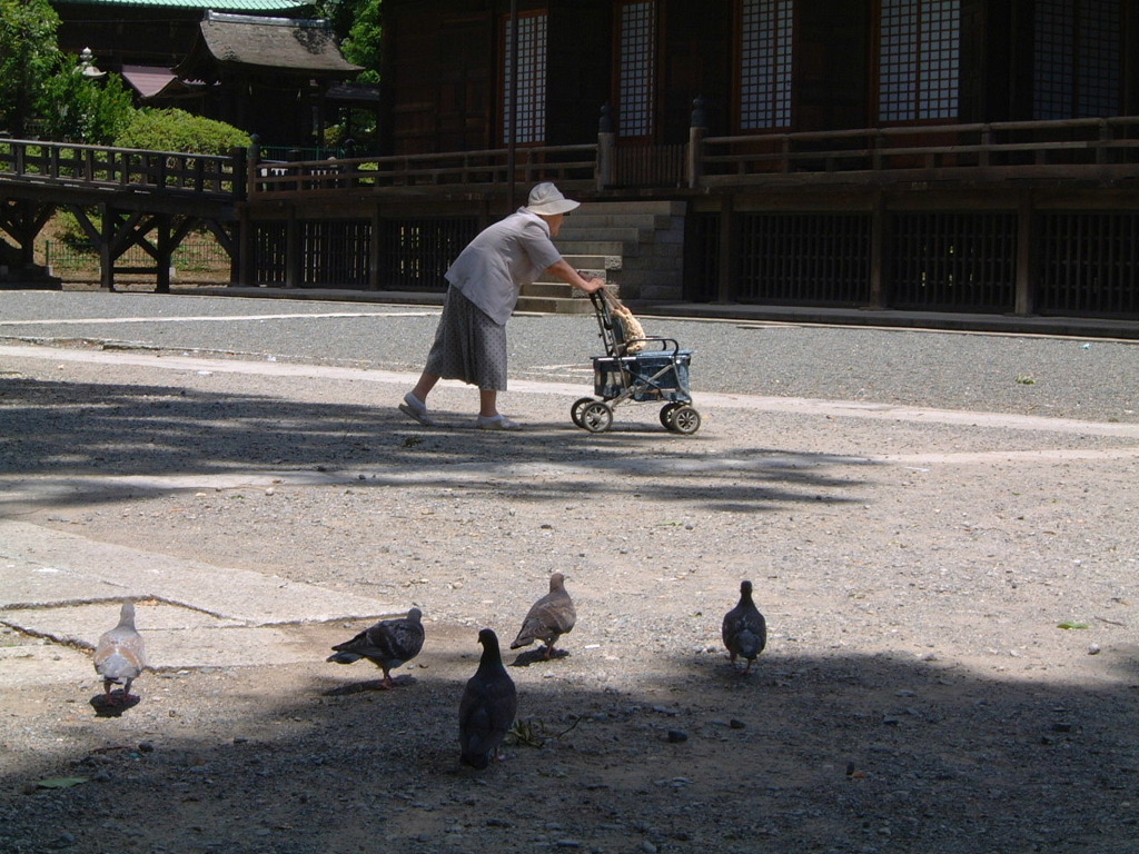 法花寺