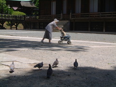 法花寺