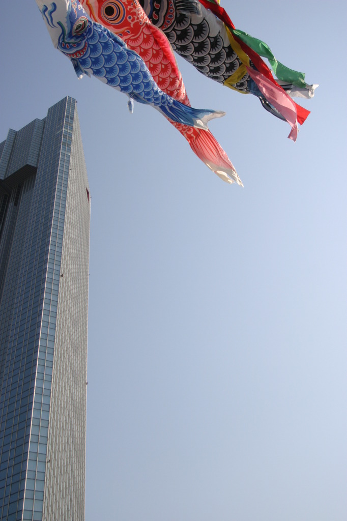 五月の頃
