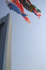 五月の頃