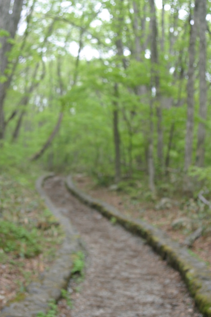 古道
