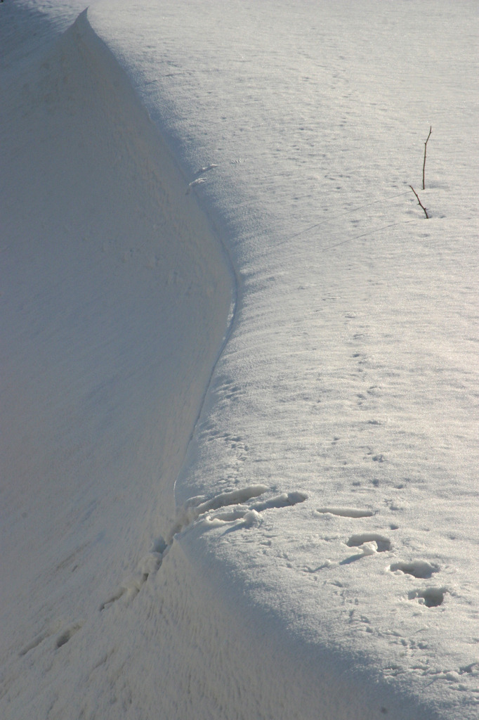 雪模様
