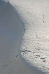 雪模様