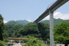ヤンバダム予定地