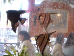 ランチタイム