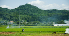 兵庫県三田市田園風景