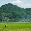 兵庫県三田市田園風景