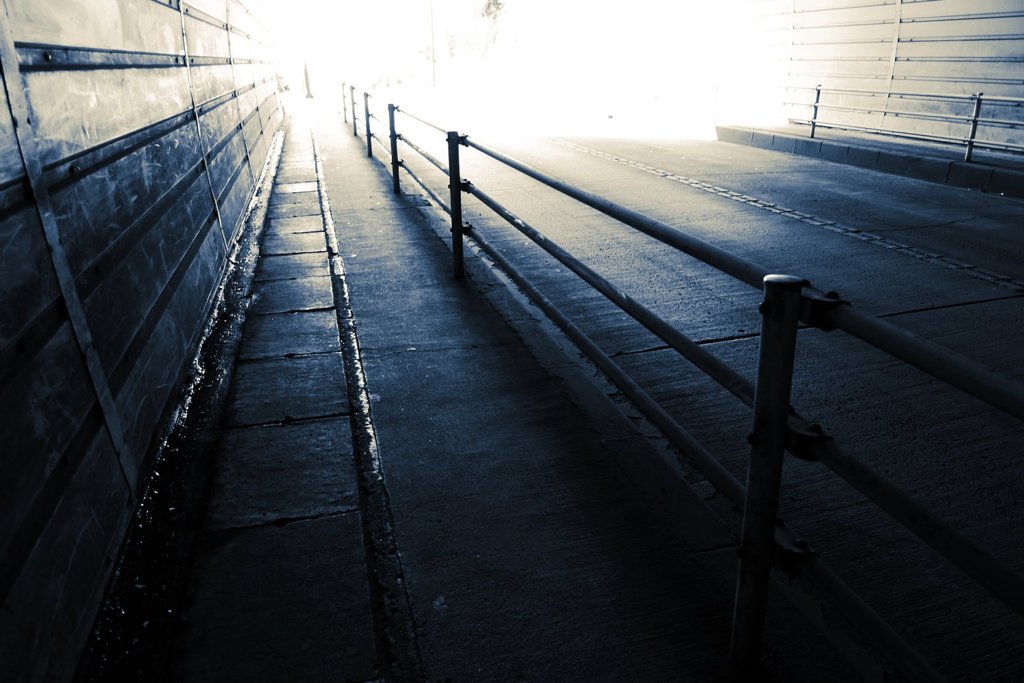 into the light