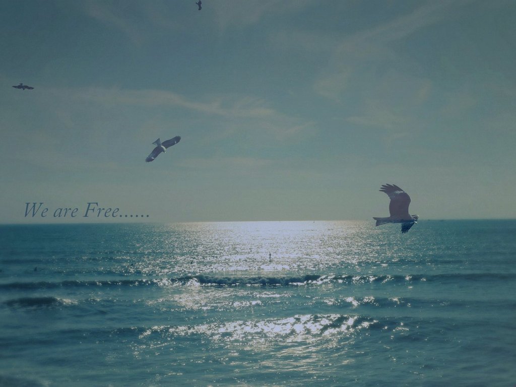 free