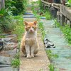 ごあいさつ