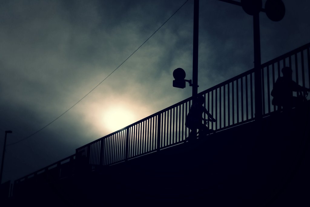 wonder land