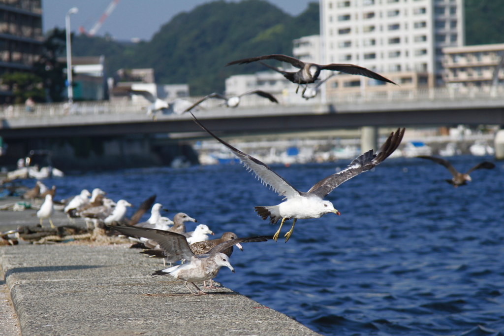 まとまり