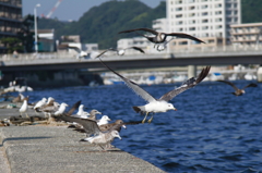 まとまり