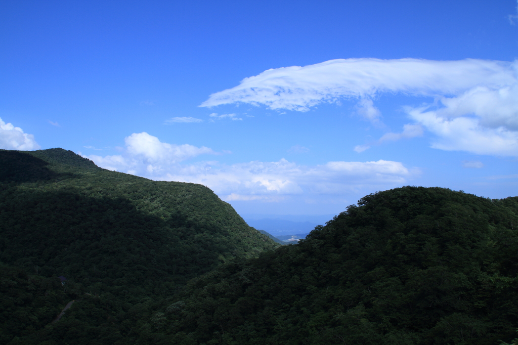 白鳥雲