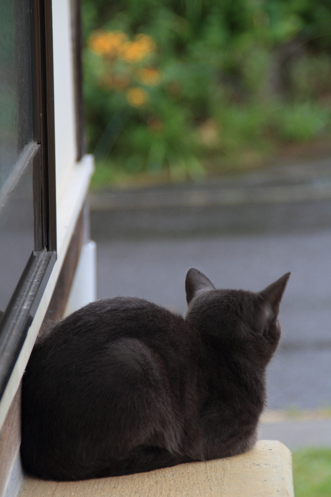 雨止まないかなぁ