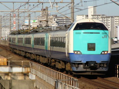 485系　新潟車　TDR臨