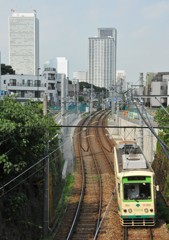 雑司ヶ谷付近にて