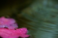 水風景