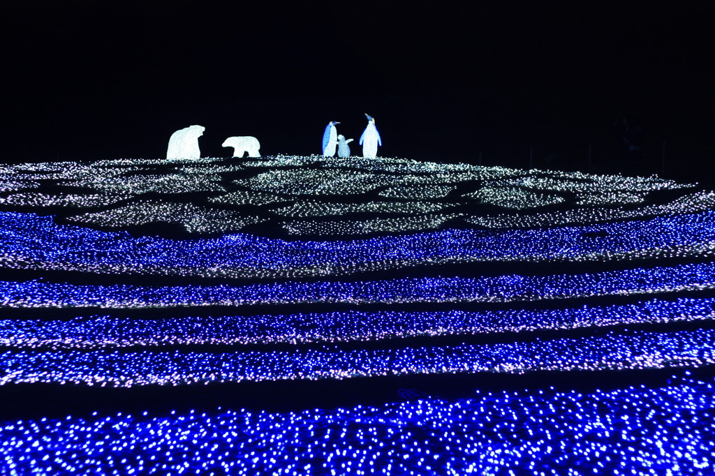 イルミネーション　東京ドイツ村