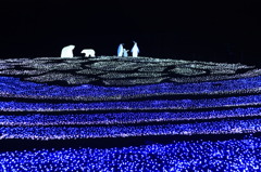イルミネーション　東京ドイツ村