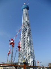 スカイツリー　398ｍ