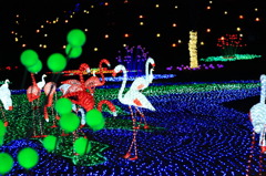 イルミネーション　東京ドイツ村