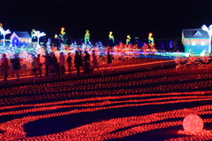 イルミネーション2010　東京ドイツ村