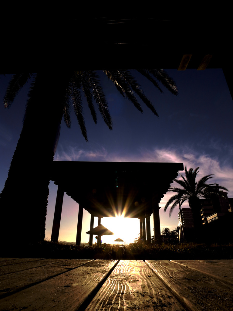 sunset beach in summer