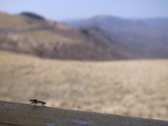 2000m