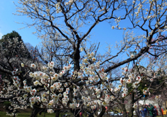 いい天気でした