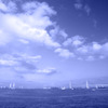 Blue Yokohama