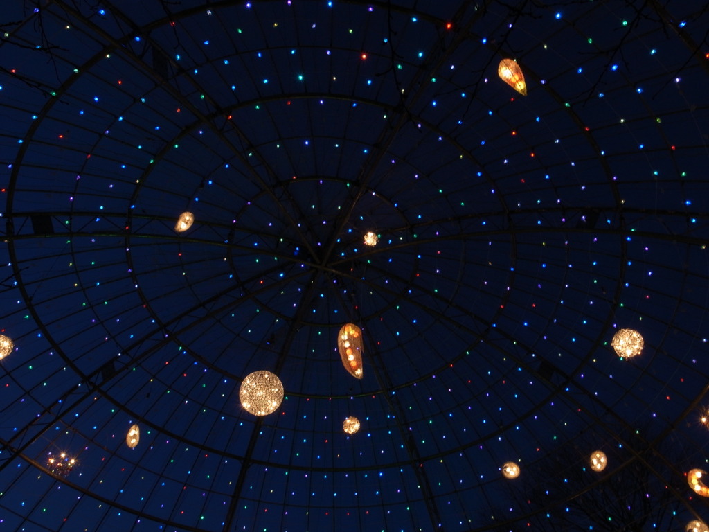 Star Light