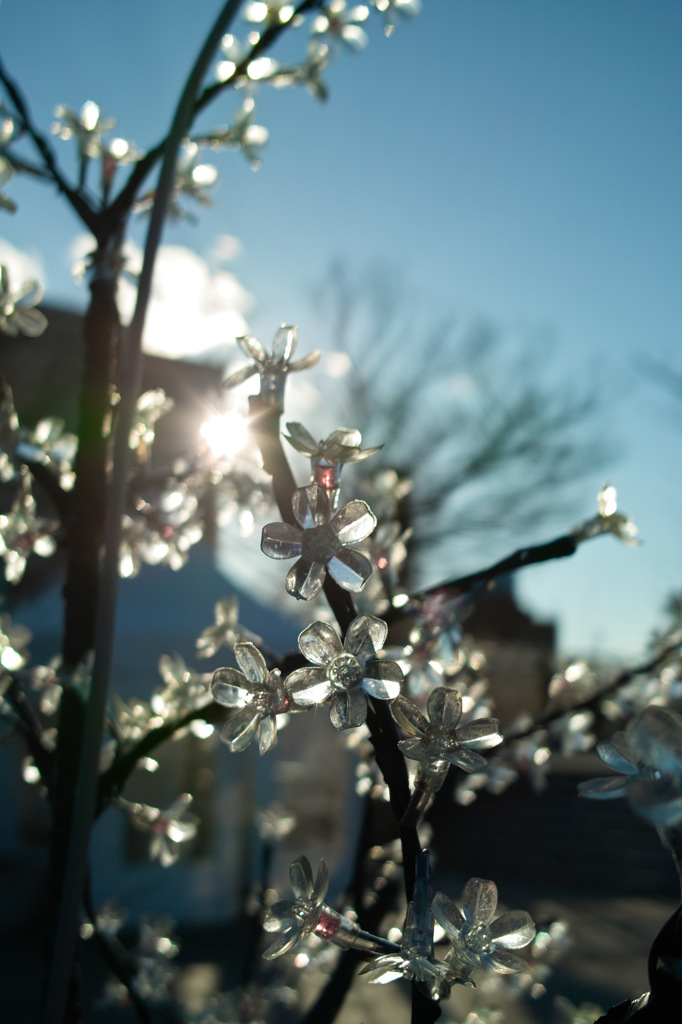 アクリルの花