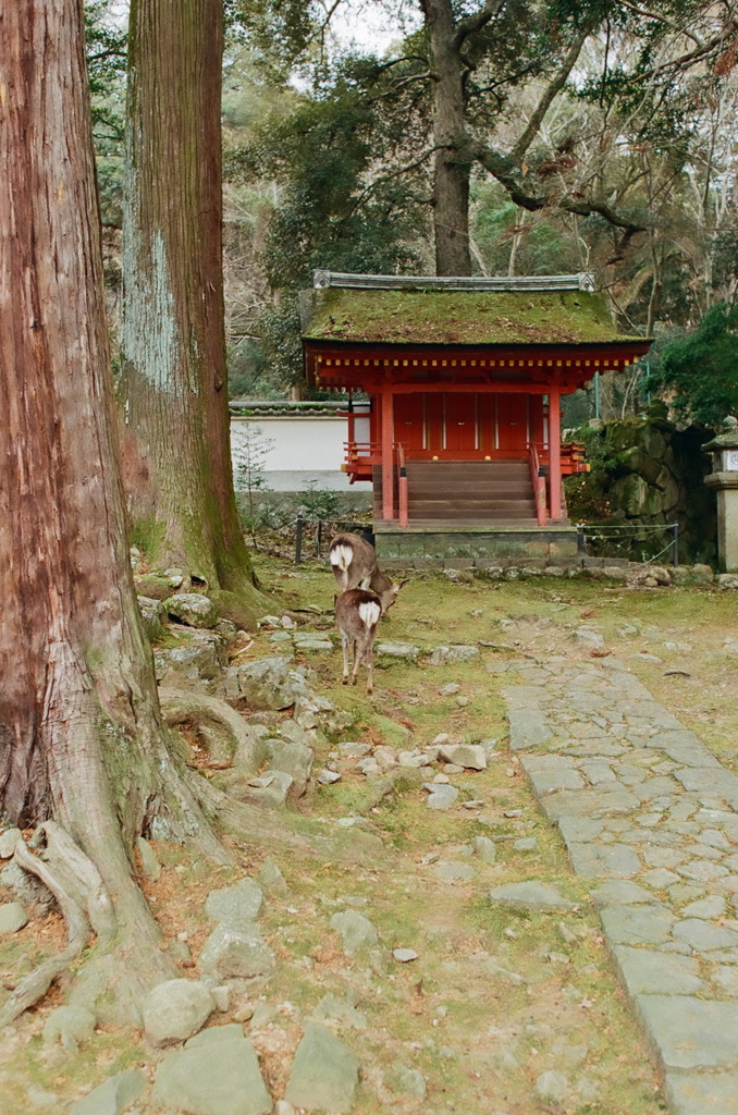 お参り