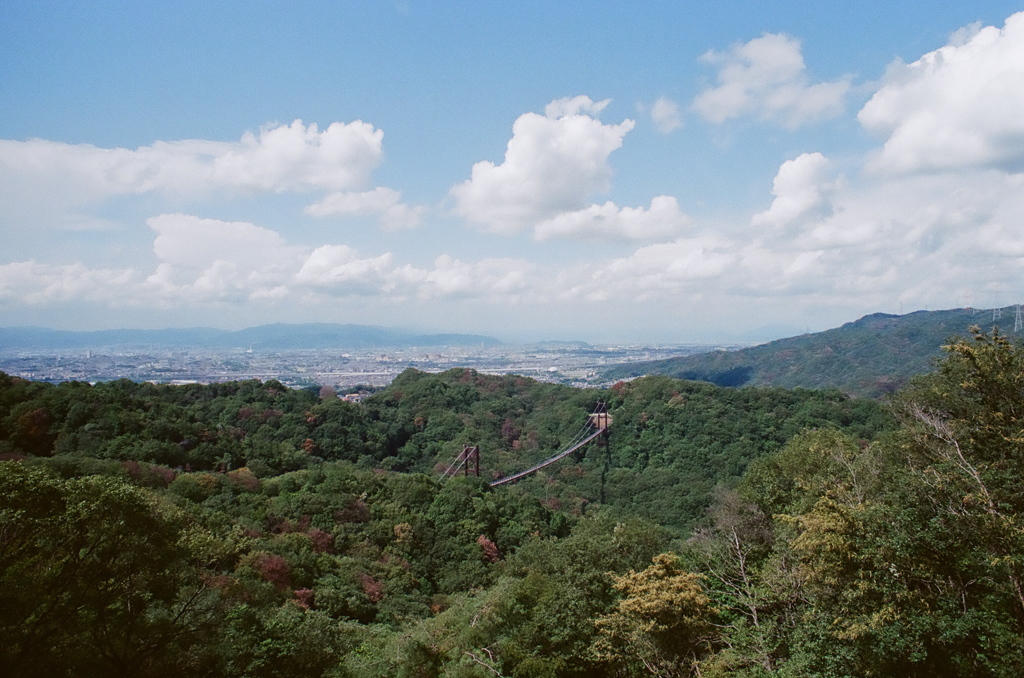 展望台から