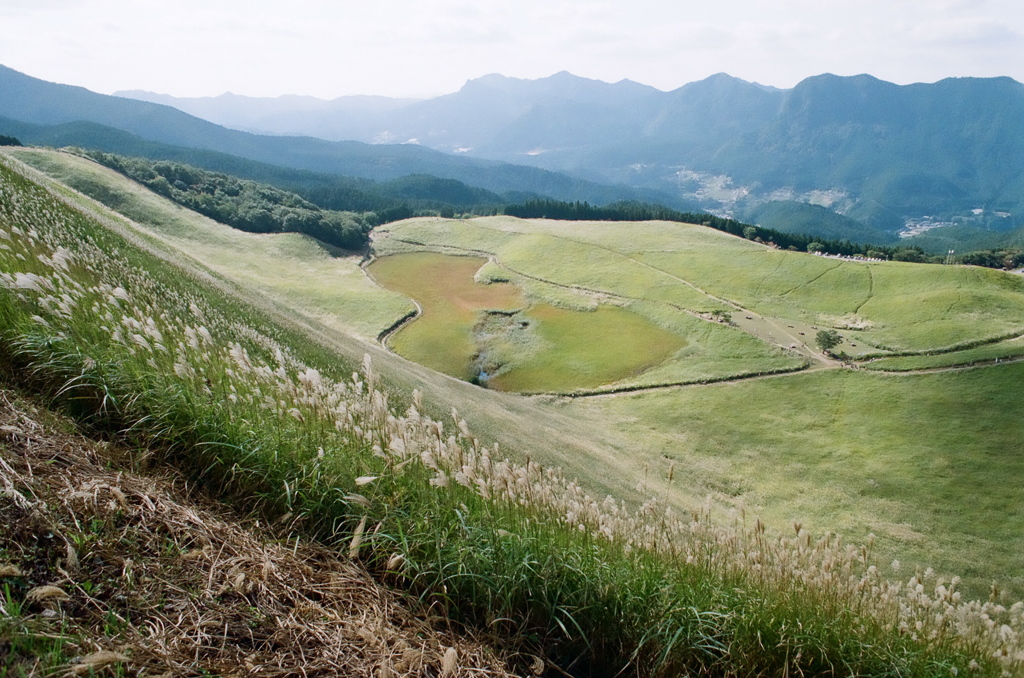 曽爾高原