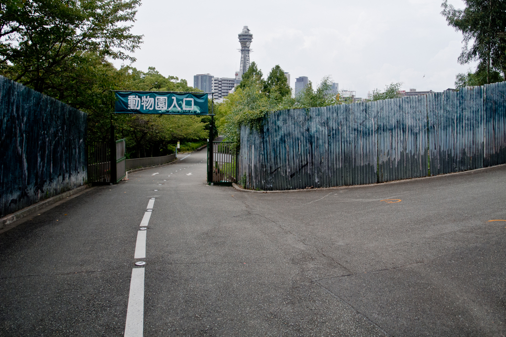 入口