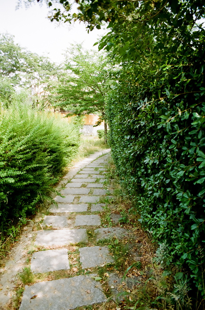 小路