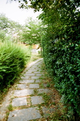 小路
